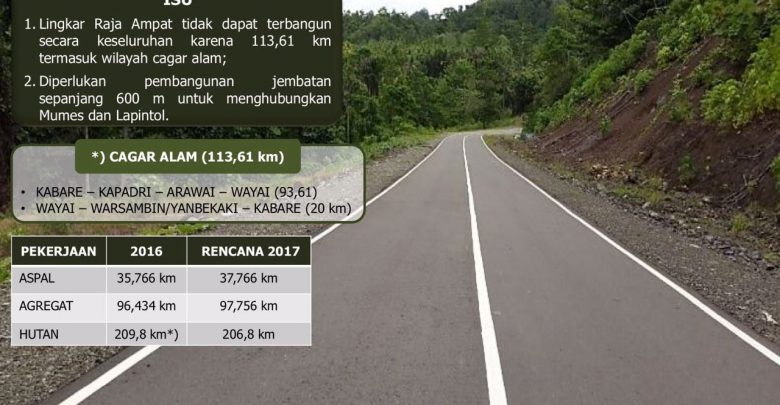 Pembangunan infrastuktur di Papua (sumber detik)