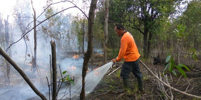 BNPB antisipasi kebakaran hutan (sumber merdeka.com)
