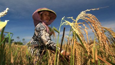 ilustrasi (Foto Antara)