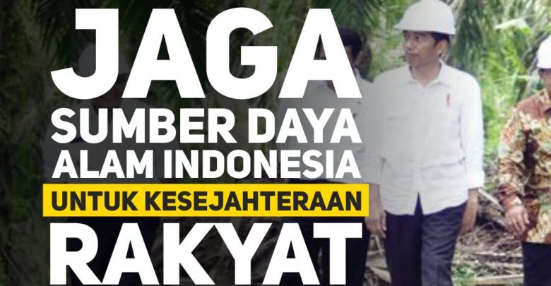 Kemajuan Pengelolaan SDA dan Lingkungan Era Presiden Jokowi