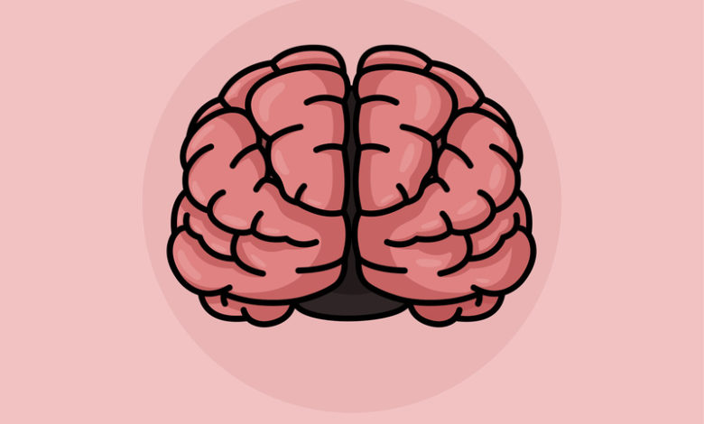 Brain 2 12. Мозг 2d. Дизайнерский мозг. 2 Мозга.