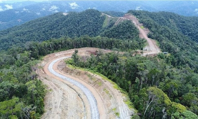 PSN Jadi Fondasi Transformasi Ekonomi dan Kesejahteraan Papua